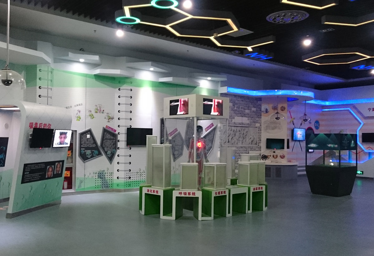 浙江省展览展示LED互动吸毒血液循环模型